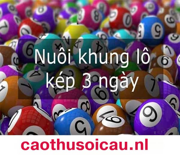 Nuôi lô kép khung 3 ngày